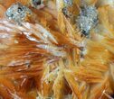 Orange Bladed Barite With Cerussite & Galena - Morocco #51405-1